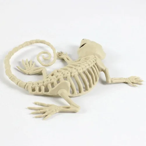 Vista 5 de 1 pieza de esqueleto de Halloween, esqueletos de Gecko de plástico, modelo para decoración de Halloween, accesorios aterradores de terror