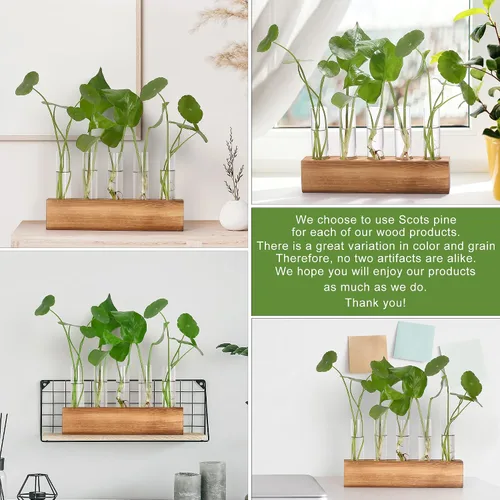 Vista 7 de Estaciones de propagación YIBOT, terrario de plantas con soporte de madera, regalos de jardinería de cumpleaños para mujeres, madres amantes