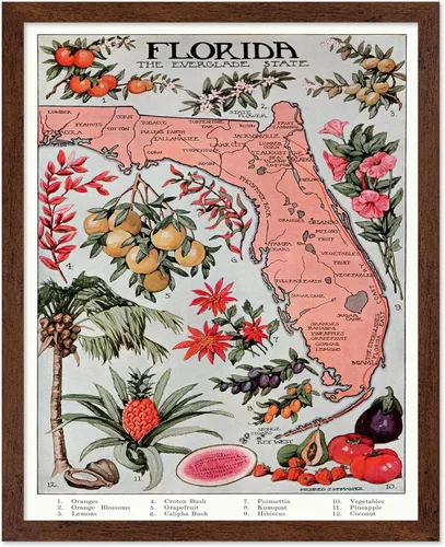 Vista 61 de Monem Art Mapa Monumental Vintage de Florencia Impresión - Póster de Viaje Retro - Arte de Italia - Gran Regalo para Hombres, Mujeres, Amantes
