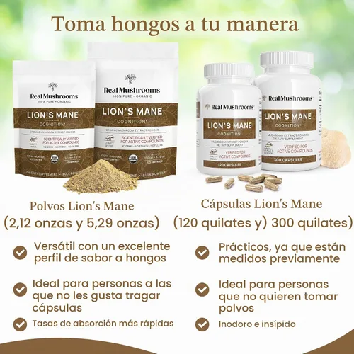 Vista 5 de Real Mushrooms Cápsulas de melena de león, cerebro, enfoque y cognición