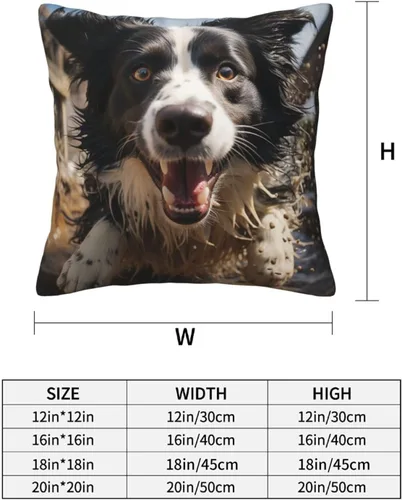Vista 2 de 2 fundas de almohada cuadradas de 16 x 16 pulgadas, fundas de almohada suaves de pastor Border Collie, fundas de almohada modernas para decoración