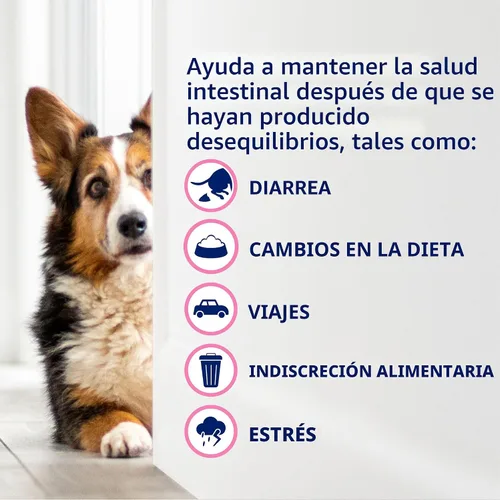 Vista 5 de Nutramax Probióticos Proviable para perros, Suplemento diario de salud digestiva con múltiples cepas de bacterias, probióticos para perros más