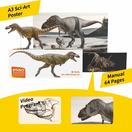 Vista 3 de PNSO Modelos de dinosaurios prehistóricos (72 Wally The Albertosaurus)