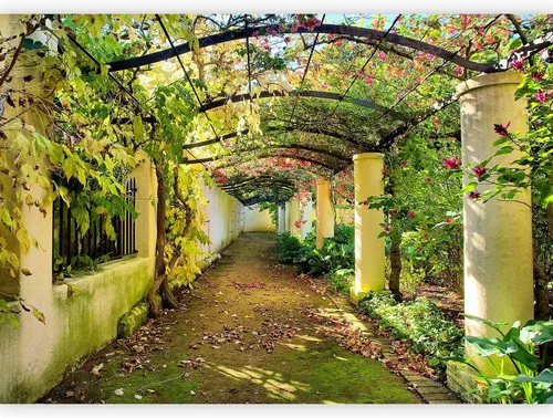 Vista 11 de artgeist Mural de pared Paisaje de la naturaleza, 77 x 55 pulgadas, papel tapiz autoadhesivo, extraíble, gran adhesivo, decoración de pared, diseño