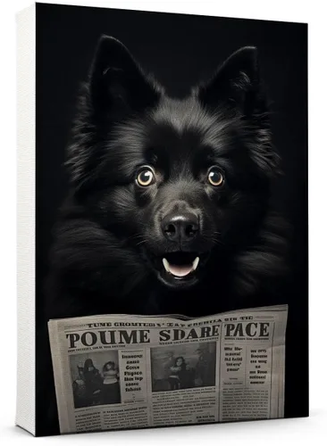 Vista 89 de Thuan Affenpinscher - Póster de lienzo con tus fotos, arte de pared para decoración del hogar, regalo conmemorativo para amantes de las mascotas
