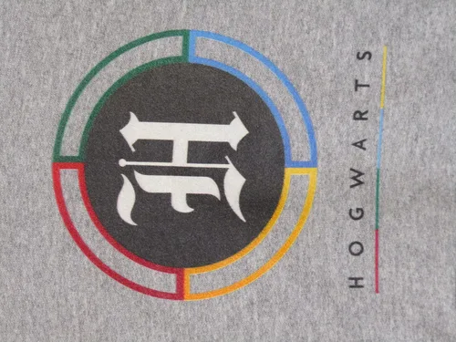 Vista 2 de Bioworld Harry Potter - Sudadera con capucha con logotipo clásico para jóvenes, Gris