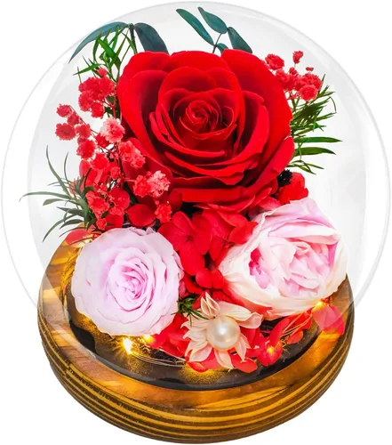 Vista 10 de Flores preservadas para mamá, rosas champán preservadas en cúpula de cristal con luz LED para novia, flores reales eternas para mujeres, regalo