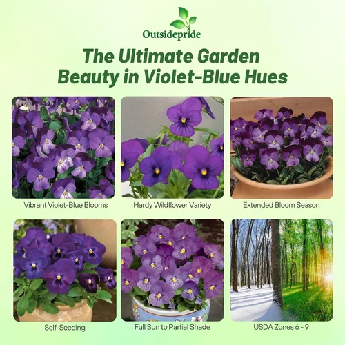 Vista 2 de Outsidepride Admiration Viola - Semillas de pensamiento para plantar, 1000 unidades. Flores perennes, resistentes al frío y aptas para polinizadores