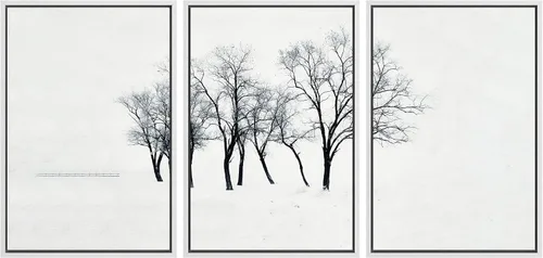 Vista 58 de SIGNWIN Lienzo enmarcado para pared, juego de arte nublado de tormenta, cielo, bosque otoñal, árboles, rústico, naturaleza, fotografía, realismo