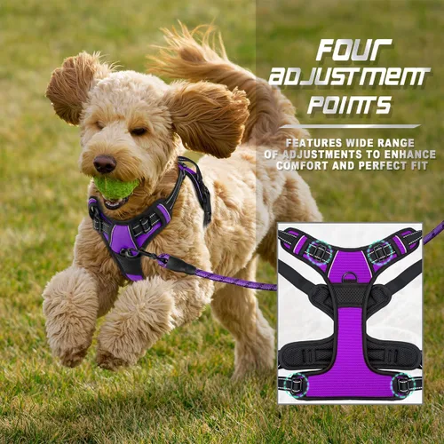Vista 193 de BARKBAY - Arnés para perro sin tirones con clip frontal, material resistente y reflectante, asa de fácil control para pasear perros grandes