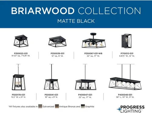 Vista 5 de Progress Lighting Briarwood Collection - Lámpara de techo de 1 luz, montaje empotrado para luces interiores de cocina, pasillo, dormitorio, sala
