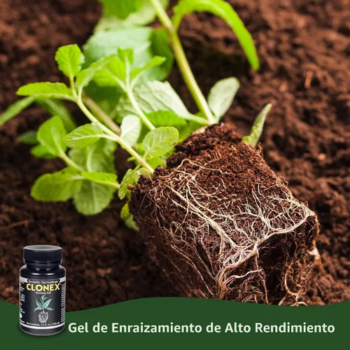 Vista 3 de Hydrodynamics International Clonex gel para raíces de 100 ml, Negro Para esquejes de plantas, contiene IBA, promueve la iniciación y el desarrollo