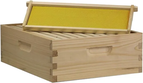 Vista 6 de Amish Made in USA Starter Bee Hive Complete para miel con marcos y cimientos 10 marcos