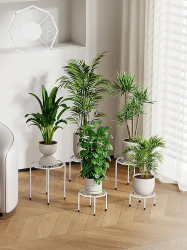 Vista 9 de Paquete de 5 soportes metálicos para plantas para interiores y exteriores, soporte de hierro antioxidante, estante resistente para macetas