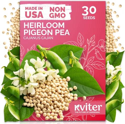 Vista 9 de KVITER 3000 semillas de espinaca egipcias - Molokhia (Corchorus Olitorius) - Hojas de yute, Ewedu, Día de Rau, Semillas de vegetales Saluyot