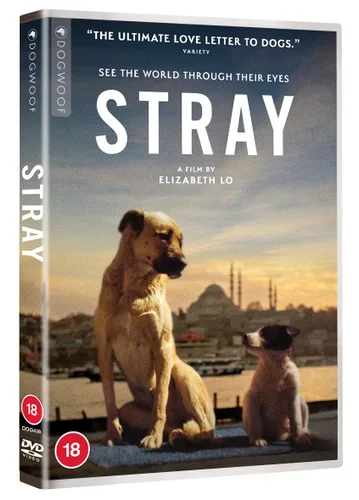 Vista 2 de Stray DVD 2021