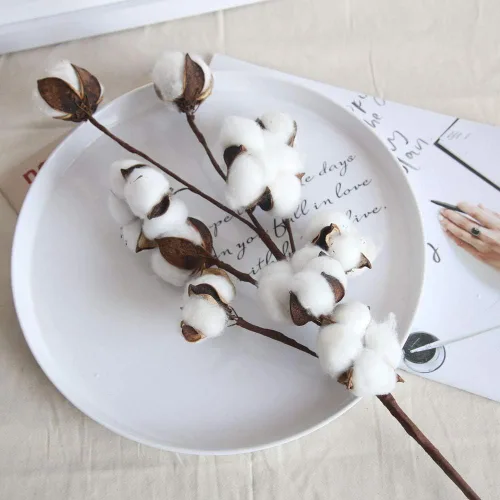 Vista 5 de Tallos de algodón seco natural para jarrón, ramo de primavera y verano de 17 pulgadas, decoración del hogar o ramos de boda de bricolaje, 10 ramitas