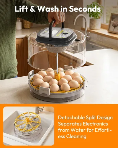 Vista 14 de 18 Egg Incubator for Hatching Eggs with Humidity & Temperature Control
