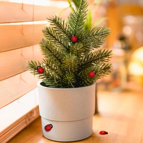 Vista 5 de Hoedia 200 adornos de mariquitas de madera para manualidades, Bumble autoadhesivo para decoración del hogar, pequeños adornos de mariquita