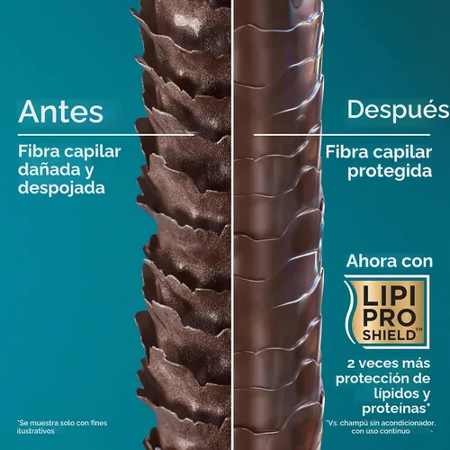 Vista 5 de Champú Organix Thick and Biotin completo y con colágeno, de 13 onzas