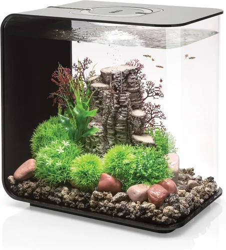 Vista 9 de biOrb Flow 15 - Acuario acrílico de 4 galones con luces LED blancas, moderno y compacto para exhibición en mesa o escritorio, negro Negro