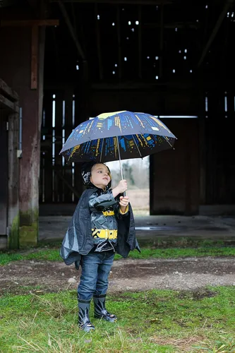 Vista 2 de Western Chief Paraguas para niño. batman eterno