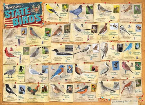 Vista 2 de Aves del Estado Americano de David Sibley