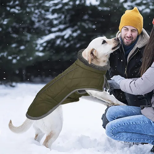 Vista 9 de Fragralley Abrigo para perro pequeño, chaqueta impermeable para perro con forro polar cálido, abrigo de invierno reflectante ajustable para perros