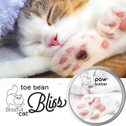 Vista 2 de The Blissful Cat Paw Butter, hidratante para almohadillas secas para patas, suaviza y protege una pata áspera, versátil bálsamo para patas de gato