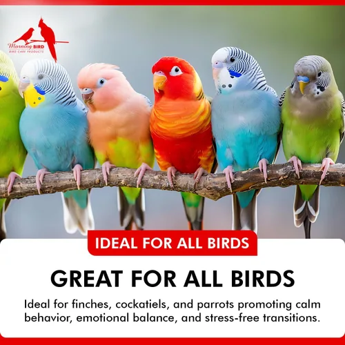 Vista 3 de Morning Bird Comida para el estado de ánimo, 2 onzas, suplemento calmante natural para pájaros, no sedante, comportamiento no deseado, desplumado