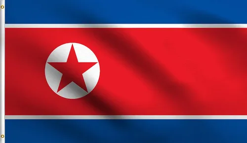 Vista 119 de DMSE - Bandera nacional beninesa beninesa de la República de África Occidental, 2 x 3 pies, 100 % poliéster, 100 % poliéster, resistente a los rayos