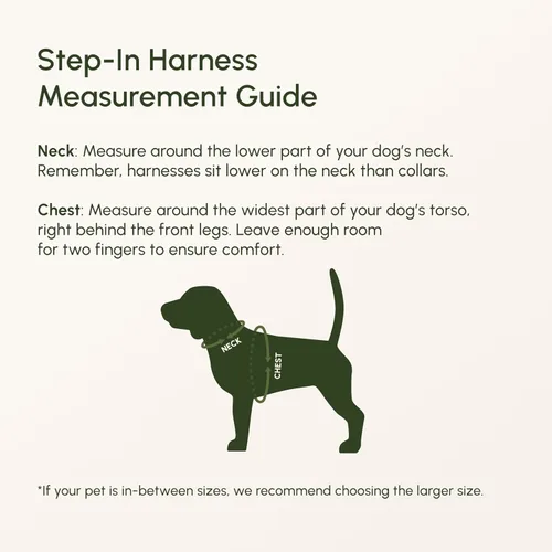 Vista 184 de Downtown Pet Supply Arnés para perro Step-in – Sin tirones, malla acolchada ajustable con ribete reflectante, correa de hebilla segura – Arnés