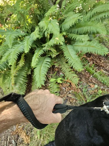 Vista 9 de Correa de perro resistente de 6 pies – Broche de liberación rápida, mango Dyneema, impermeable, 316 inoxidable, hecho a mano en Estados Unidos Negro