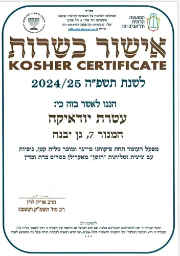 Vista 4 de 100% Cotton Comfortable PerfTzit V-Shirt Tzitzis, Kosher Lamehadrin Made in Israel, Children, Men