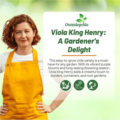 Vista 5 de Outsidepride King Henry Viola - Semillas de pensamiento para plantar, 1000 unidades. Flores perennes, resistentes al frío y aptas para polinizadores
