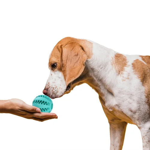 Vista 8 de SunGrow Paquete de 2 bolas de golosinas para perros, dispensadores interactivos de alimentos de rompecabezas, golosinas para ocultar