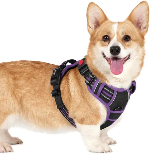 Vista 19 de Rabbitgoo - Arnés para perro de tamaño pequeño, arnés para mascotas sin tirones con 3 hebillas, chaleco acolchado suave ajustable con mango