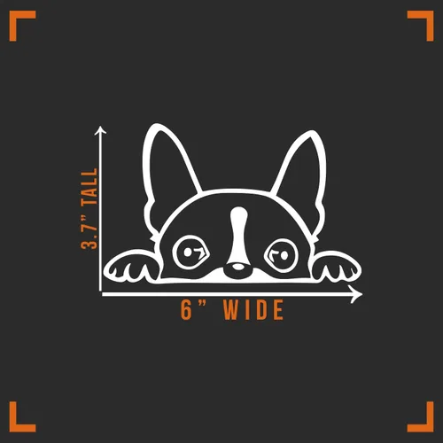 Vista 3 de Boston Terrier Peeking - Calcomanía de vinilo para auto, camión, pared, portátil, color blanco, 6 x 3 pulgadas