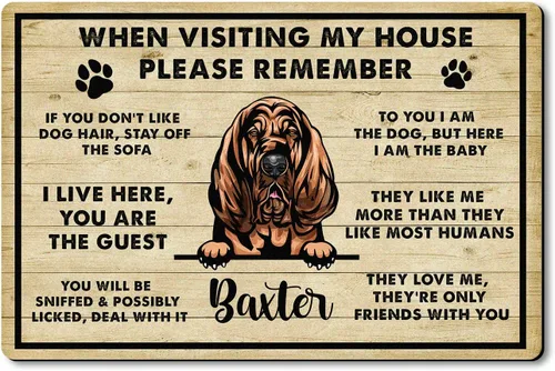 Vista 19 de VOTANTA Felpudo personalizado con mastín de abruzzese, tapetes personalizados para perros, regalos divertidos para los amantes de los perros, dueños