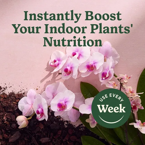 Vista 7 de Miracle-Gro - Rocío de alimentos para plantas de interior para orquídeas, 8 onzas líquidas (paquete de 2) Alimento vegetal de orquídeas Niebla