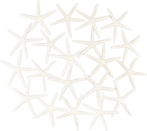 Vista 2 de Jangostor 20 piezas de estrellas de mar, conchas naturales de 2.5 a 4 pulgadas, conchas marinas naturales, estrellas de mar, estrellas de mar
