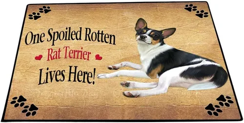 Vista 14 de Doggie of the Day Tapete Rat Terrier para perros, 4 de julio, Día de la Independencia, el mejor felpudo para perro, decoración protectora, arte