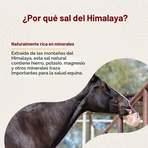 Vista 3 de Horsemen's Pride Bloque de sal del Himalaya en cuerda para caballos, 2.2 libras, SS22