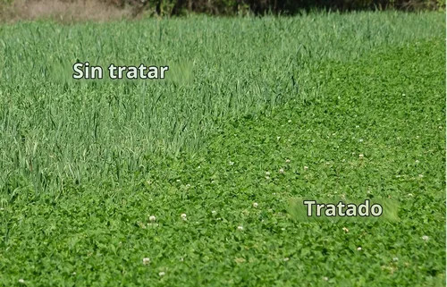 Vista 2 de Whitetail Institute Arrest Max herbicida para parcelas con césped o cultivo de alimentos, 1 pinta (1 acre).