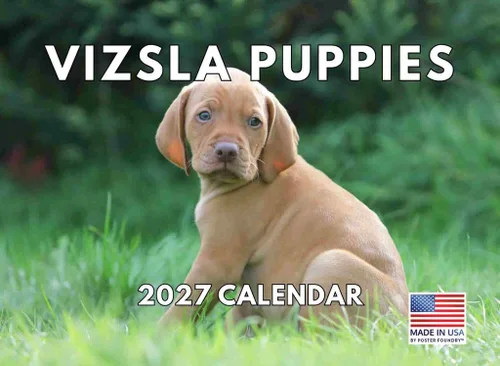 Vista 115 de Calendario mensual de pared Airedale Terrier Dog 2027