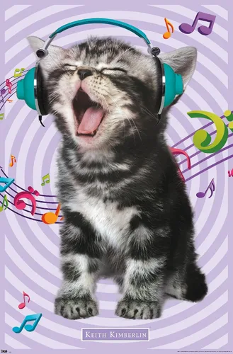 Vista 17 de Trends International Keith Kimberlin - Gato - Póster de pared cantando, 14.725 x 22.375 pulgadas, versión con marco de madera tipo granero
