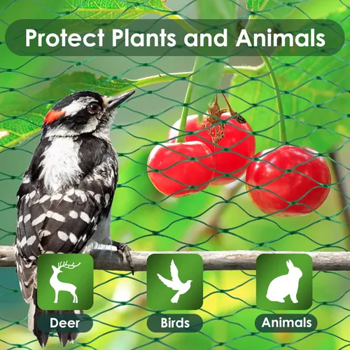Vista 3 de Ruolan Red para pájaros para jardín, protege plantas vegetales y árboles frutales, 13 x 20 pies, red de plástico para pájaros, ciervos, ardillas