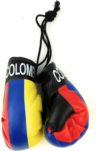 Vista 21 de Mini guantes de boxeo para colgar en el espejo del coche (Camerún)