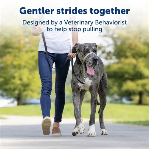 Vista 5 de Collar de cabeza suave líder de entrenamiento para perros anti tirones para caminar elige el tamaño (pequeño - negro)