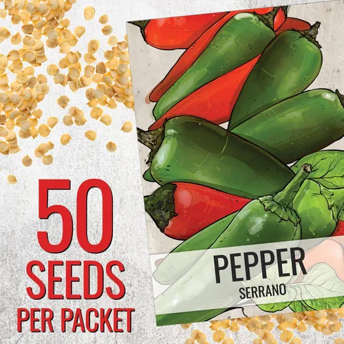 Vista 3 de Seed Needs Semillas de pimiento picante para plantar chiles serranos, semillas de vegetales sin OMG y sin tratar para plantar un jardín vegetal